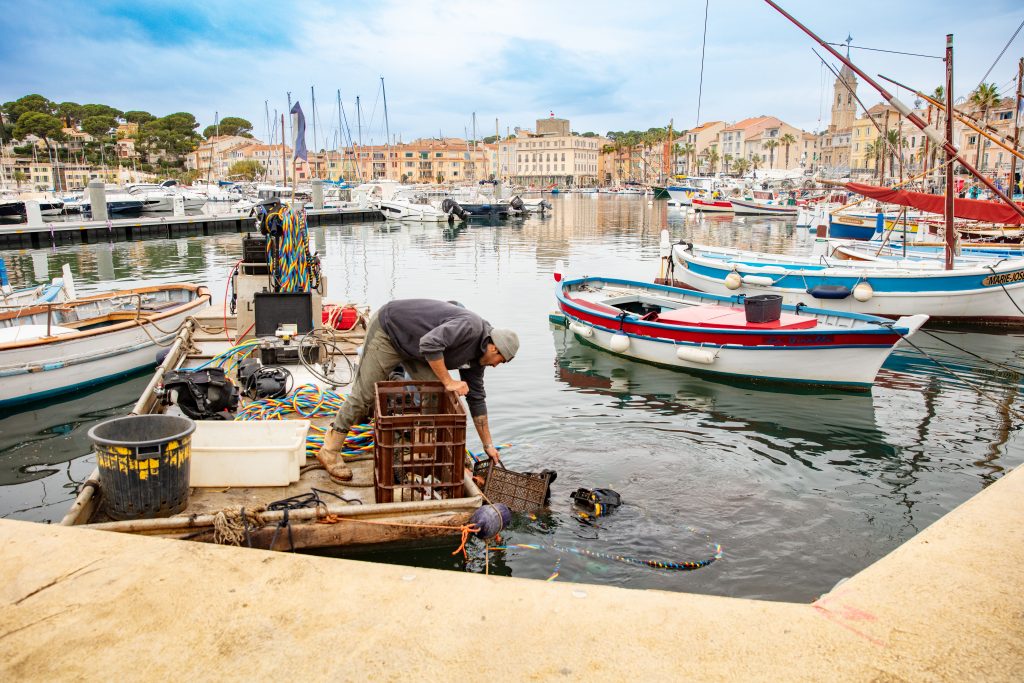 Un port toujours plus propre