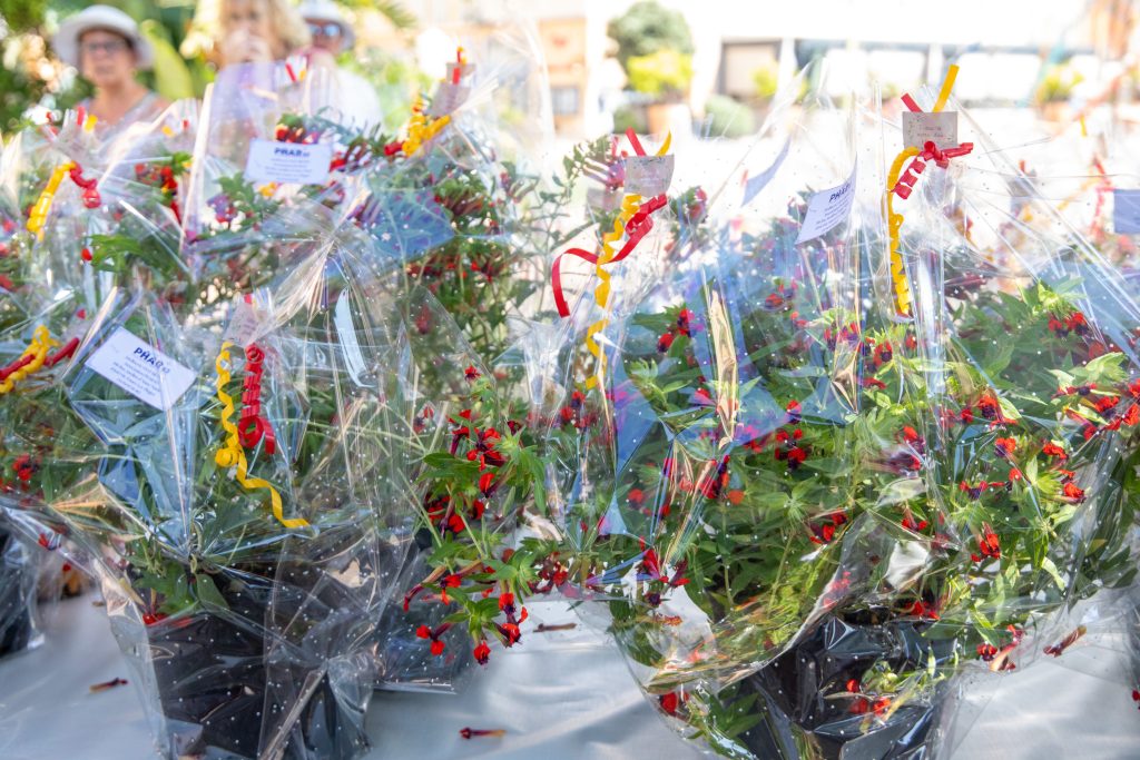 Remise des prix du 21e concours des Jardins et Balcons fleuris