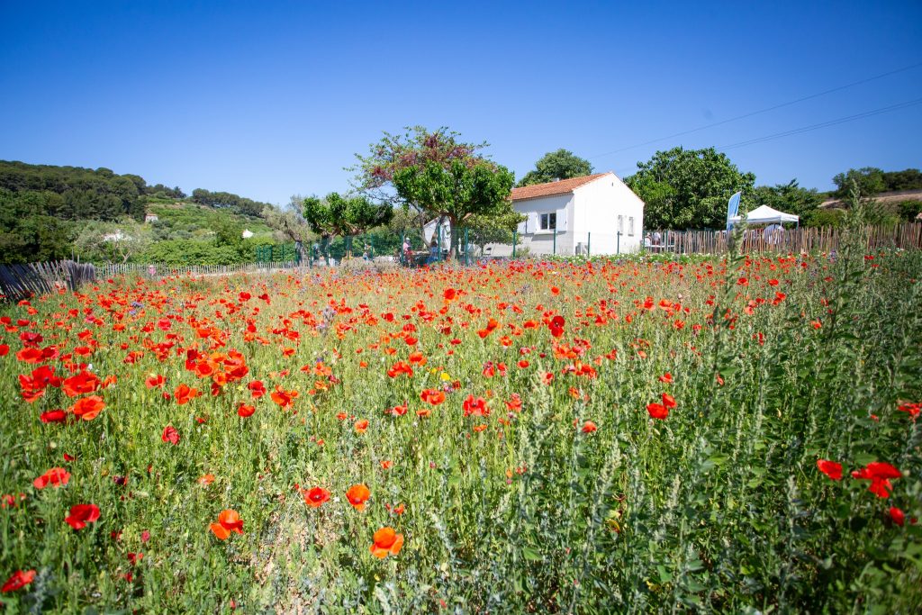 Fête de la Biodiversité : journée de sensibilisation et de partage