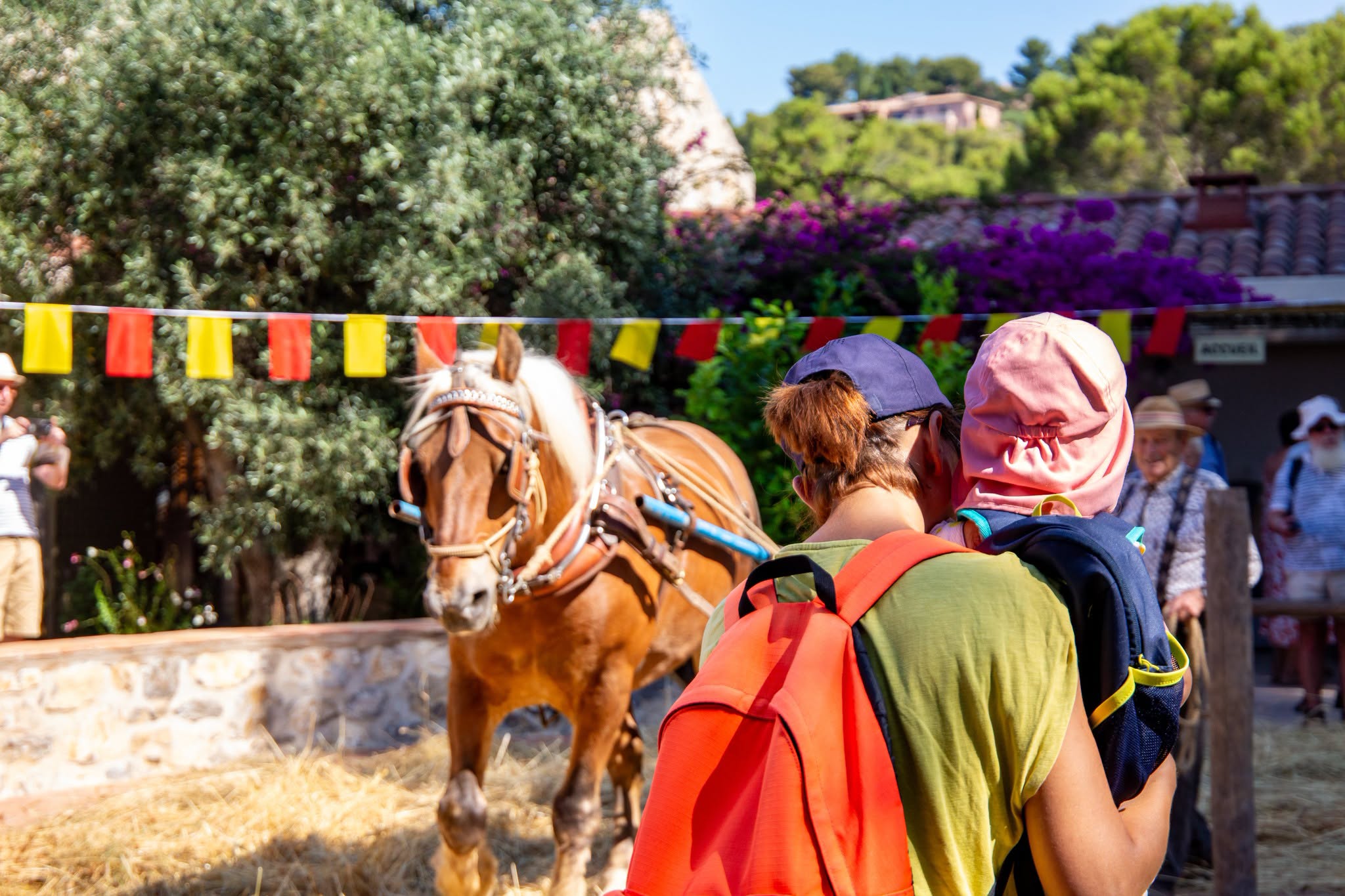 La Fête du Blé et du Pain, traditions vivante au Jardin des Oliviers